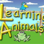 Learning About Animals