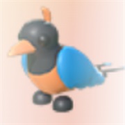 ･､ ᵇⁱʳᵈ ᵒᶠ ᵖᵃʳᵃᵈⁱˢᵉ