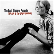 Calm Like You - The Last Shadow Puppets