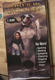 Who's in Charge? (1993)