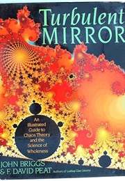 Turbulent Mirro (David Peat)