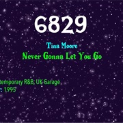 #9103 Never Gonna Let You Go by Tina Moore