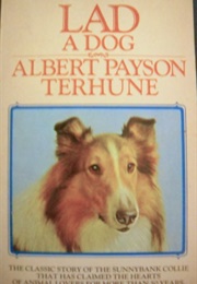 Lad: A Dog (Albert Payson Terhune)