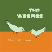 Nobody Knows Me at All - The Weepies
