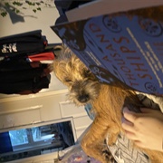 Travel by Plane, Car, Train and Boat