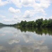 Moa River, Sierra Leone