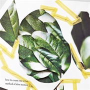 How to Count One to Ten - Method of Slow Motion