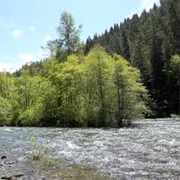McKenzie River