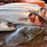 Seasonal Fish