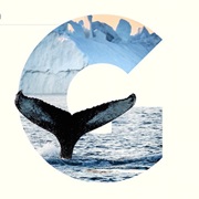 World Cities Through Letters - Gg