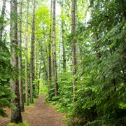 Hiking Trail
