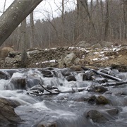 Bennett's Pond State Park