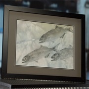 S30.E9: Fish Rubbings; Clay Shooting Machines; Almonds; High-End Motorcycles