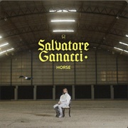 Horse - Salvatore Ganacci