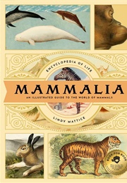 Mammalia: An Illustrated Guide to the World of Mammals (Lindy Mattice)