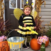 Bumblebee Costume