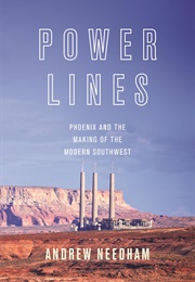 Power Lines (Andrew Needham)