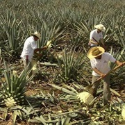 S16.E11: Tequila/Water Beds/Flip Flops/Silver