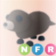 ･､ ᵒᵗᵗᵉʳ