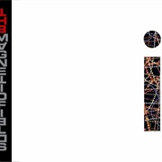 It's Only Time the Magnetic Fields