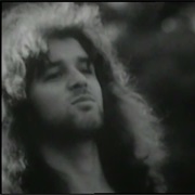 Buffalo - Suzie Sunshine