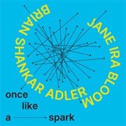 Jane Ira Bloom & Brian Shankar Adler- Once Like a Spark
