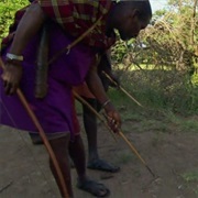 6. Grasslands: The Roots of Power