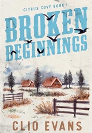 Broken Beginnings (Clio Evans)