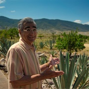 S3.E1: Celebrating Day of the Dead in Mexico