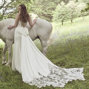 Train Attached to Bow