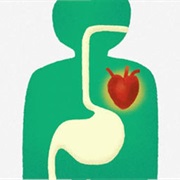 S1.E6: Why Diets Fail