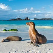 Española Island, Galápagos Islands, Ecuador