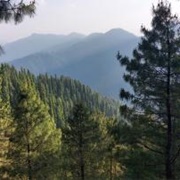Gallies Biosphere Reserve, Pakistan