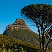 Lion's Head, South Africa