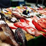 Kagoshima Fish Market