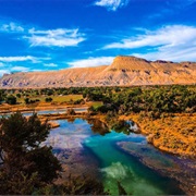 Grand Mesa, Grand Mesa National Forest