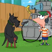 Interview With a Platypus