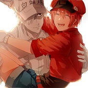 Red Blood Cell and White Blood Cell