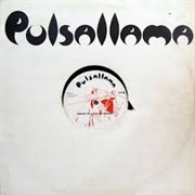The Devil Lives in My Husband's Body/Ungawa Pt.II (Way Out Guiana) - Pulsallama