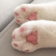 Cat Bean Toes