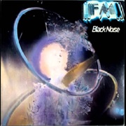 FM - Slaughter in Robot Village