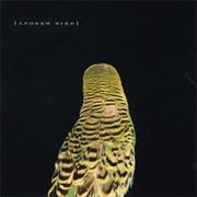 Armchairs - Andrew Bird