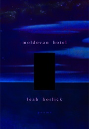 Moldovan Hotel (Leah Horlick)
