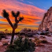 Joshua Tree National Park, USA