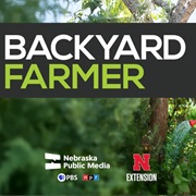 Backyard Farmer