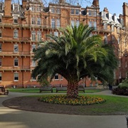 Mount Street Gardens