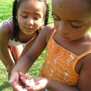 Make Friends With a Bug