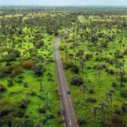 Samba Dia Biosphere Reserve, Senegal