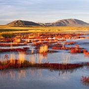 Uvs Nuur Basin, Mongolia & Russia