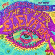 13th Floor Elevators - I've Got Levitation
